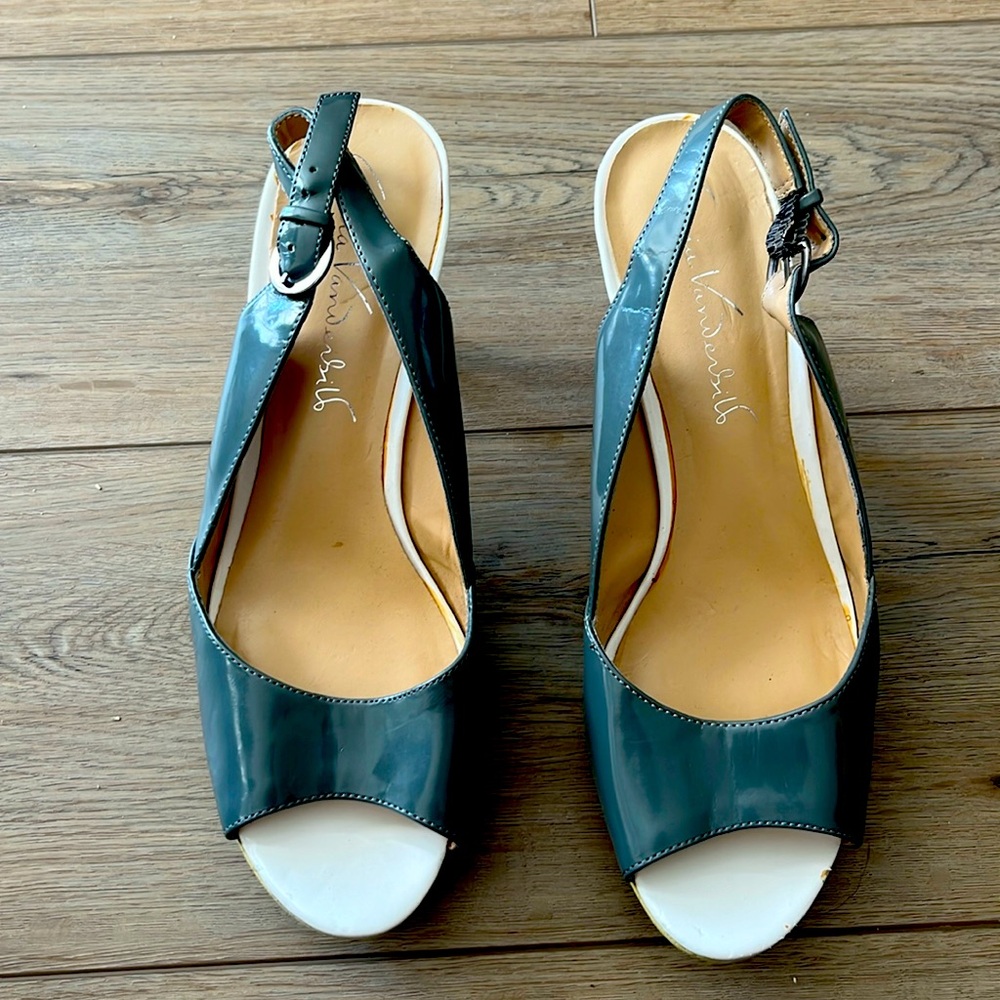 Gloria Vanderbilt size 10 heels, worn twice.